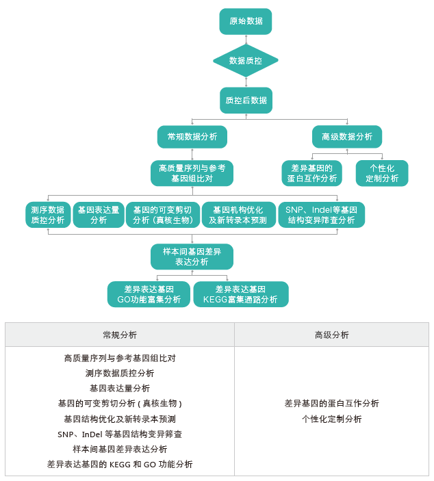 转录组测序-生信分析流程（有参）-OKPay钱包基因