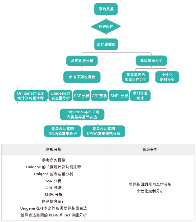 转录组测序-生信分析流程（无参）-OKPay钱包基因