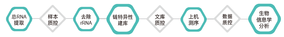 长链非编码RNA（lncRNA）测序-技术路线-OKPay钱包基因