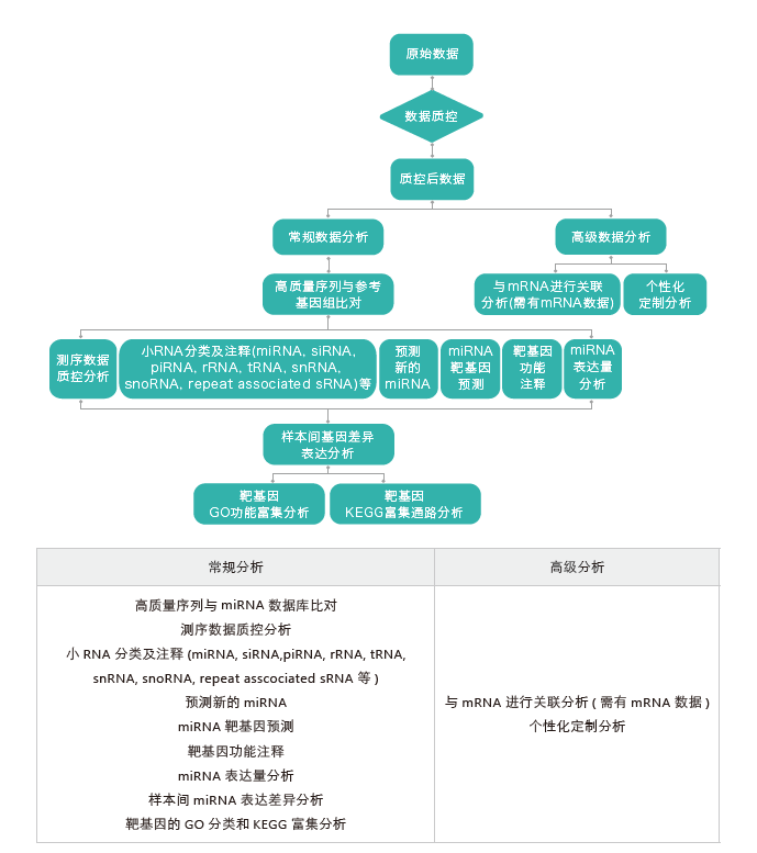 小RNA（small RNA）测序-生信分析流程-OKPay钱包基因