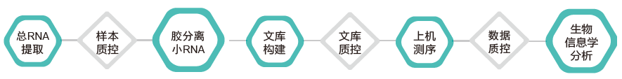 小RNA（small RNA）测序-技术路线-OKPay钱包基因