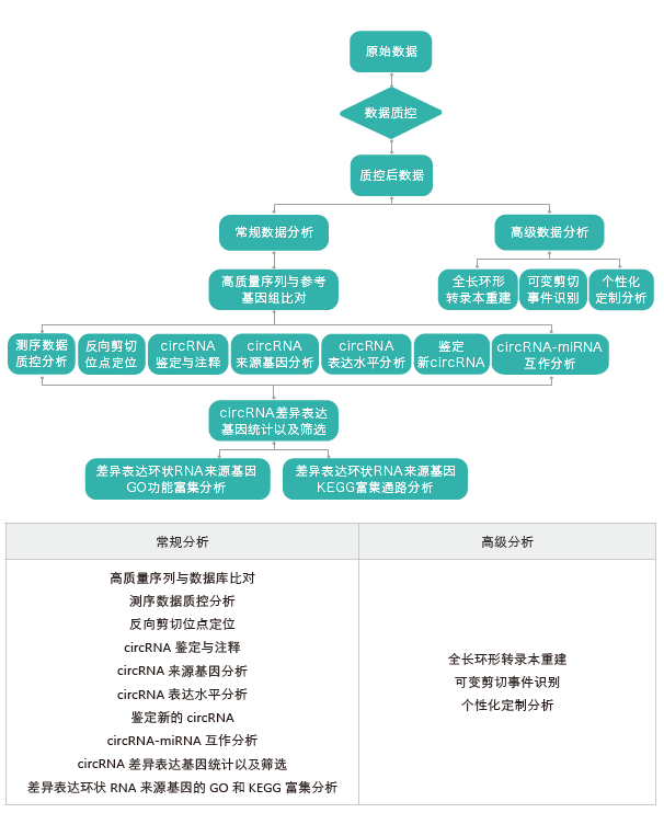 环状RNA（circRNA）测序-生信分析流程-OKPay钱包基因